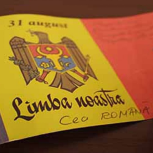 Limba noastră-i o COMOARĂ